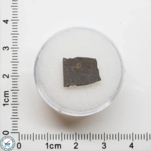 El Médano 395 Meteorite 0.5g