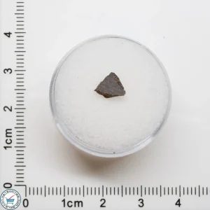 El Médano 395 Meteorite 0.2g