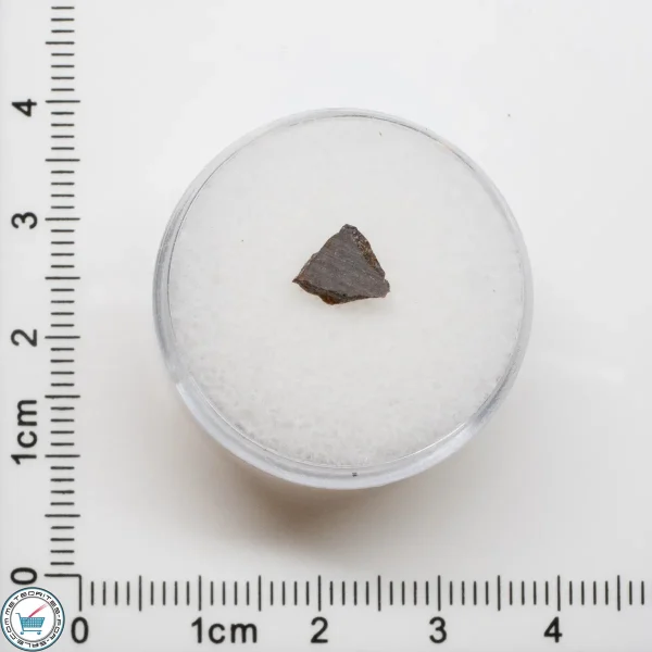 El Médano 395 Meteorite 0.2g