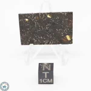 Admire Pallasite Meteorite 7.1g