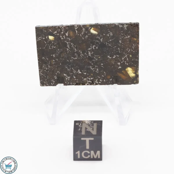 Admire Pallasite Meteorite 7.1g