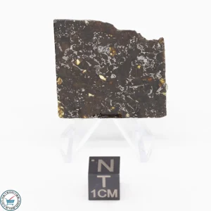 Admire Pallasite Meteorite 7.8g