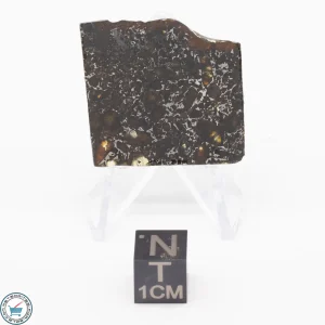 Admire Pallasite Meteorite 5.7g