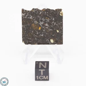 Admire Pallasite Meteorite 5.6g
