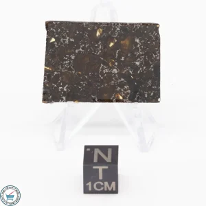 Admire Pallasite Meteorite 5.6g