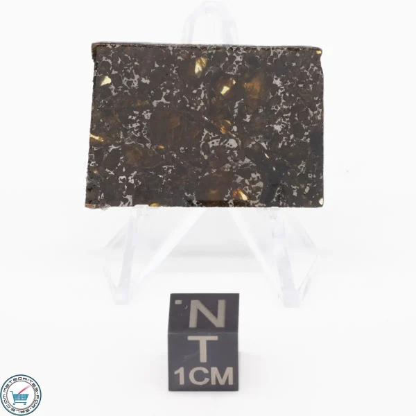 Admire Pallasite Meteorite 5.6g