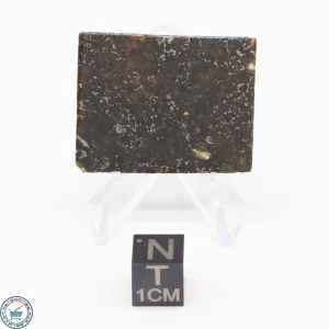 Admire Pallasite Meteorite 8.6g