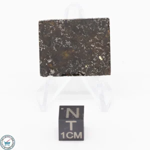 Admire Pallasite Meteorite 5g