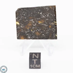 Admire Pallasite Meteorite 9.6g