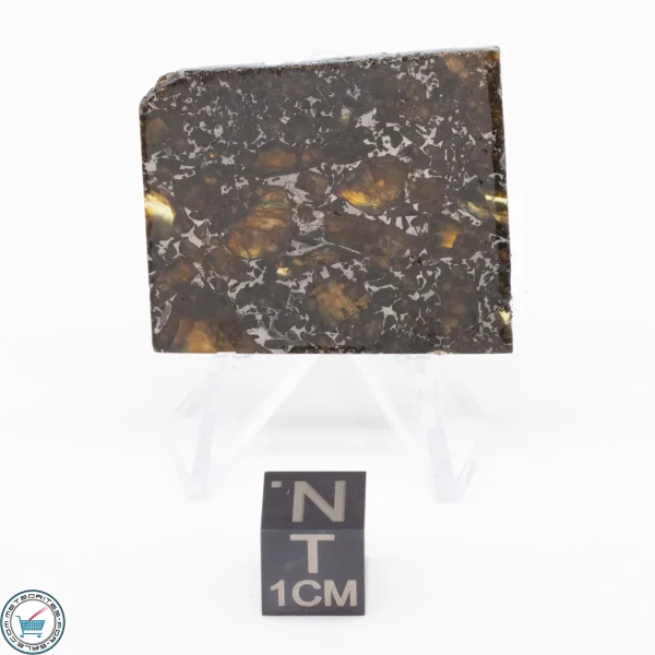 Admire Pallasite Meteorite 9.6g
