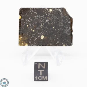 Admire Pallasite Meteorite 8.7g