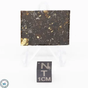 Admire Pallasite Meteorite 5.7g
