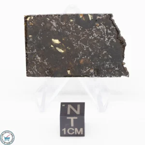 Admire Pallasite Meteorite 7.4g
