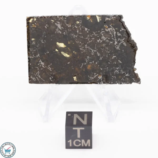 Admire Pallasite Meteorite 7.4g