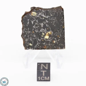 Admire Pallasite Meteorite 8.1g