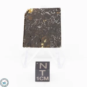 Admire Pallasite Meteorite 5.1g