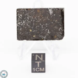 Admire Pallasite Meteorite 7.6g