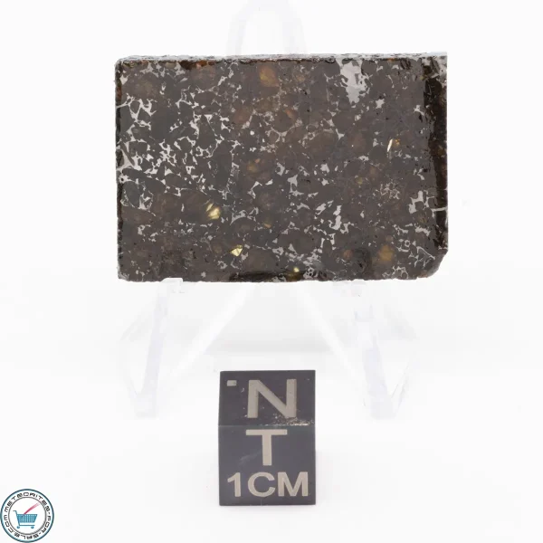 Admire Pallasite Meteorite 7.6g