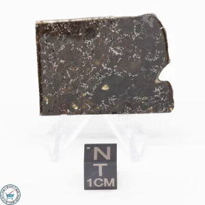 Admire Pallasite Meteorite 8.7g