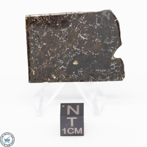 Admire Pallasite Meteorite 8.7g