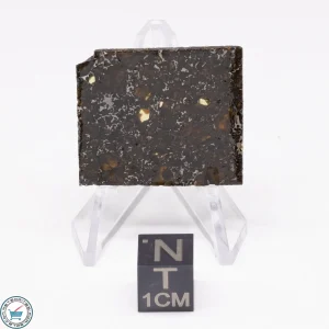 Admire Pallasite Meteorite 5.4g