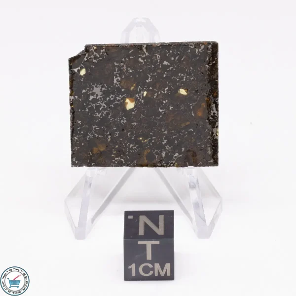 Admire Pallasite Meteorite 5.4g