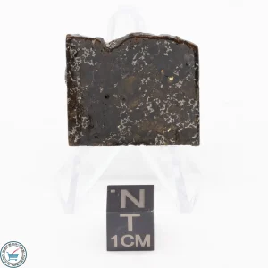 Admire Pallasite Meteorite 4.9g