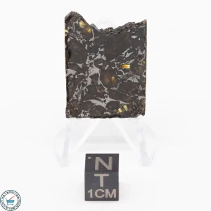 Admire Pallasite Meteorite 6.9g