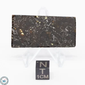 Admire Pallasite Meteorite 8.5g
