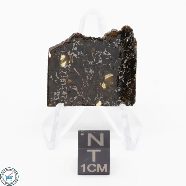 Admire Pallasite Meteorite 4.3g