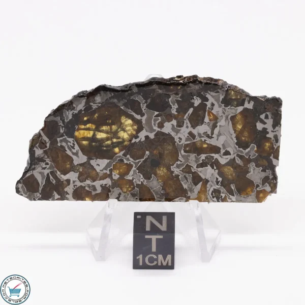 Brahin Pallasite Meteorite 18.0g