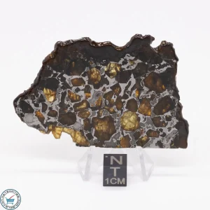 Brahin Pallasite Meteorite 23.4g