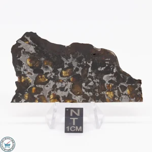 Brahin Pallasite Meteorite 17.5g