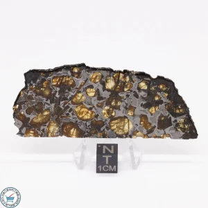 Brahin Pallasite Meteorite 17.4g