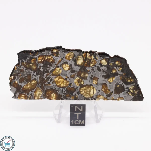 Brahin Pallasite Meteorite 17.4g