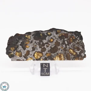 Brahin Pallasite Meteorite 20.6g