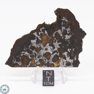 Brahin Pallasite Meteorite 23.5g