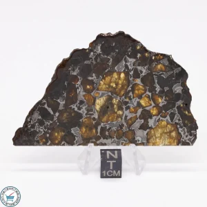 Brahin Pallasite Meteorite 26.3g