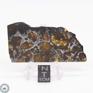 Brahin Pallasite Meteorite 16.5g