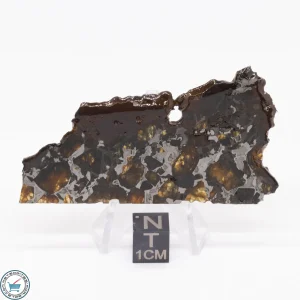 Brahin Pallasite Meteorite 14.9g