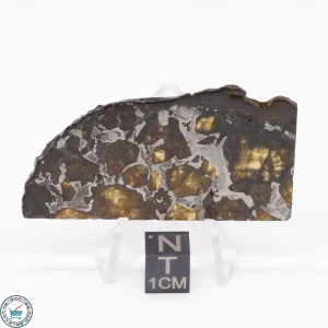Brahin Pallasite Meteorite 15.0g
