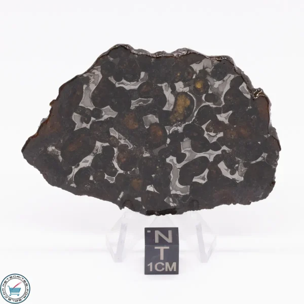 Sericho Pallasite Meteorite 27.5g