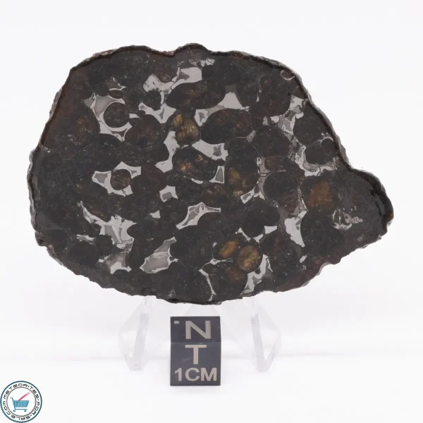 Sericho Pallasite Meteorite 27.0g