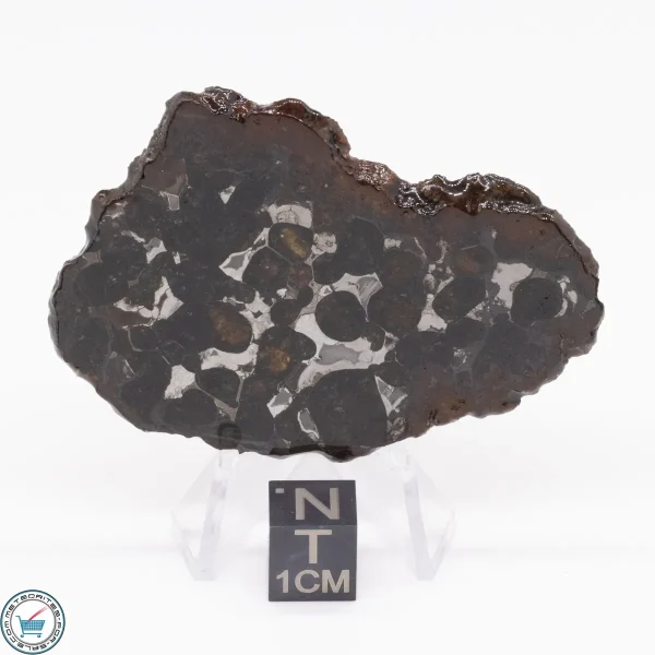 Sericho Pallasite Meteorite 17.5g