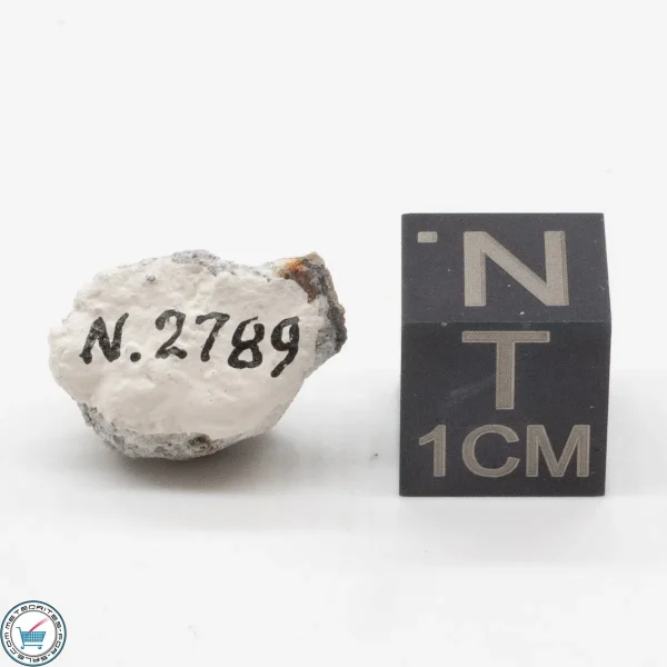 Norton County Meteorite 1.609g