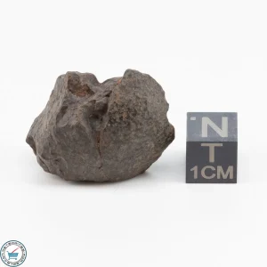 NWA 11700 Meteorite 13.1g