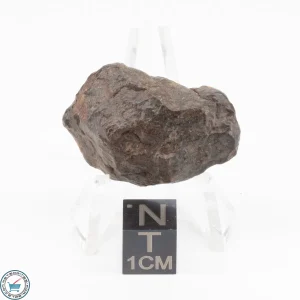 NWA 11700 Meteorite 11.2g