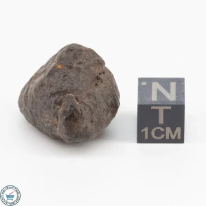 NWA 11700 Meteorite 12.2g