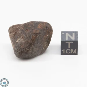 NWA 11700 Meteorite 15.8g