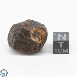 NWA 11700 Meteorite 16.3g